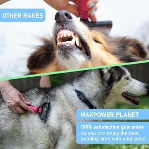 Max Power Planet Dual Sided Undercoat Rake Dog & Cat Deshedding Tool, Pink