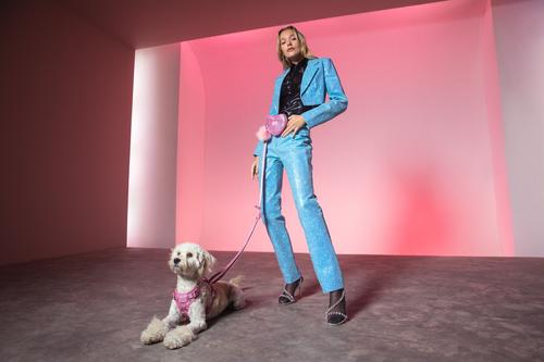 Show full view: maxbone & Christian Cowan Glitz Dog Leash, Harness & Pouch Set, Pink, Large: 16-28 inches slide 8 of 8