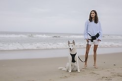 maxbone Easy Fit Dog Harness, Black, Small: 10-20 inches slide 2 of 3