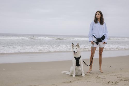 Show full view: maxbone Easy Fit Dog Harness, Black, Small: 10-20 inches slide 3 of 4