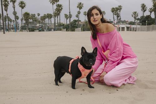 Show full view: maxbone Easy Fit Dog Harness, Coral Peach, Medium: 14 to 24-in chest slide 4 of 4