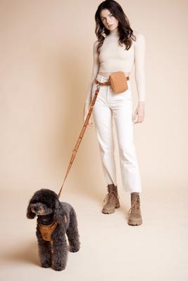 Show full view: maxbone Go! with Ease Dog Leash, 4-ft long, 1-in wide, Camel slide 3 of 3