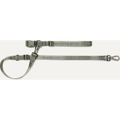 maxbone maxbone Go! with Ease Dog Leash, 4-ft long, 1-in wide, Sage
