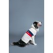 Show in main carousel: maxbone Les Alpes Jumper Dog Sweater, White, Large slide 3 of 4