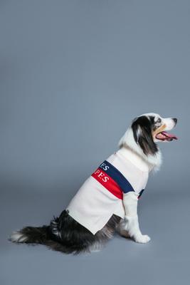 Show full view: maxbone Les Alpes Jumper Dog Sweater, White, Medium slide 3 of 4