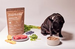 maxbone Muscle Up Grain-Free Raw Beef Recipe Freeze-Dried Dog Food, 16-oz bag slide 2 of 7