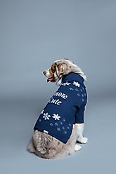 maxbone Snow Cute Jumper Dog Sweater, Blue, Medium slide 2 of 3