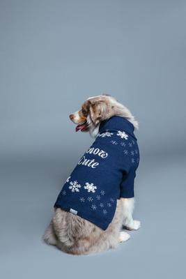 Show full view: maxbone Snow Cute Jumper Dog Sweater, Blue, Small slide 2 of 3