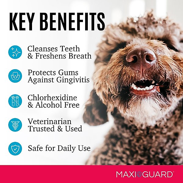 Show full view: MAXI/GUARD Pet Dental Gel, 4-oz bottle slide 4 of 4