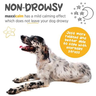 Show full view: maxxipaws maxxicalm Calming Aid for Dogs, 120 tablets slide 5 of 12