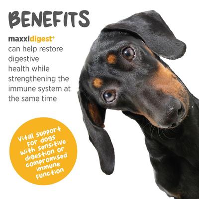 Show full view: maxxipaws maxxidigest+ Digestive & Immune System Support for Dogs Supplement, 13.2-oz slide 3 of 12
