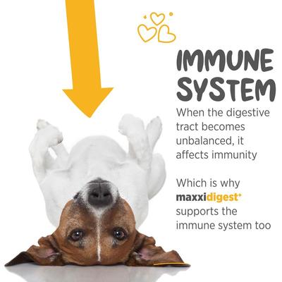 Show full view: maxxipaws maxxidigest+ Digestive & Immune System Support for Dogs Supplement, 13.2-oz slide 5 of 12