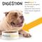 Show in main carousel: maxxipaws maxxidigest+ Digestive & Immune System Support for Dogs Supplement, 13.2-oz slide 6 of 12