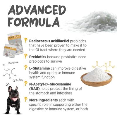 Show full view: maxxipaws maxxidigest+ Digestive & Immune System Support for Dogs Supplement, 13.2-oz slide 7 of 12