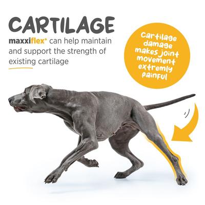 Show full view: maxxipaws maxxiflex+ Dog Joint Supplement, 120 tablets slide 5 of 12