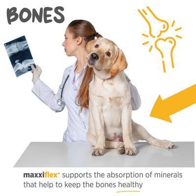 Show full view: maxxipaws maxxiflex+ Dog Joint Supplement, 120 tablets slide 6 of 12