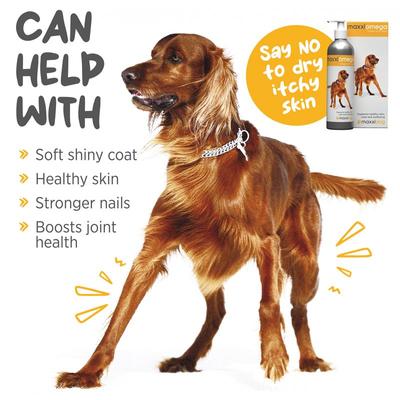 Show full view: maxxipaws maxxiomega Oil for Dogs, 10-fl oz slide 4 of 12