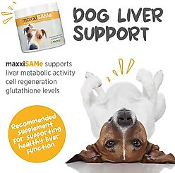 maxxipaws maxxiSAMe SAM-e Supplement for Dogs, 5.3-oz slide 2 of 9
