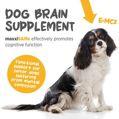 Show full view: maxxipaws maxxiSAMe SAM-e Supplement for Dogs, 5.3-oz slide 4 of 12