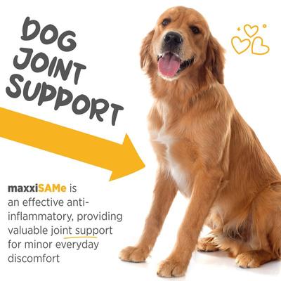 Show full view: maxxipaws maxxiSAMe SAM-e Supplement for Dogs, 5.3-oz slide 5 of 12