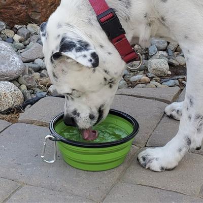 Show full view: Mayday Emergency Drinking Water, 12 count, 4.225-oz pouch, 12 count slide 5 of 5