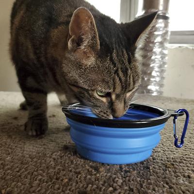 Show full view: Mayday Emergency Dry Cat Food, 8-oz bag slide 5 of 5