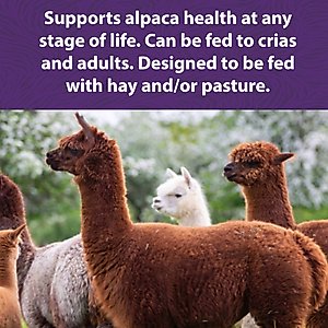 Mazuri Alpaca Care Pellets Alpaca Food, 40-lb bag