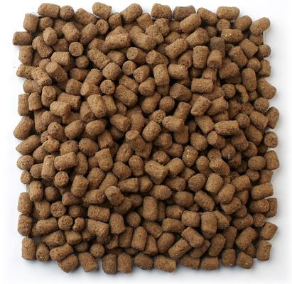 Show full view: Mazuri Ferret Food, 5-lb bag slide 4 of 9