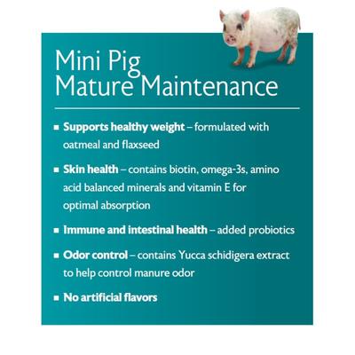 Show full view: Mazuri Mini Pig Mature Maintenance Feed, 25-lb bag, bundle of 2 slide 4 of 10