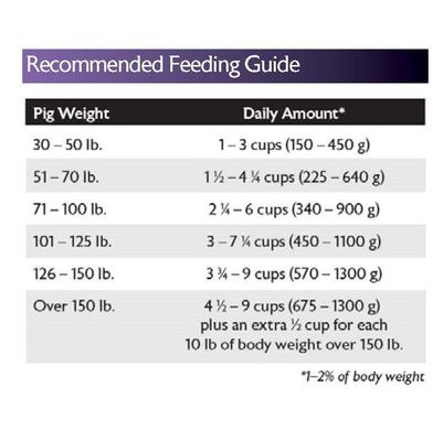 Show full view: Mazuri Mini Pig Mature Maintenance Feed, 25-lb bag, bundle of 2 slide 8 of 10