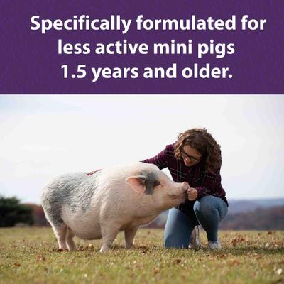 Show full view: Mazuri Mini Pig Mature Maintenance Food, 25-lb bag slide 4 of 10