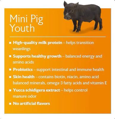 Show full view: Mazuri Mini Pig Youth Feed, 25-lb bag slide 8 of 11