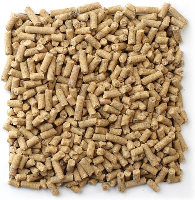 Show full view: Mazuri Mini Pig Youth Food, 25-lb bag, bundle of 2 slide 5 of 11