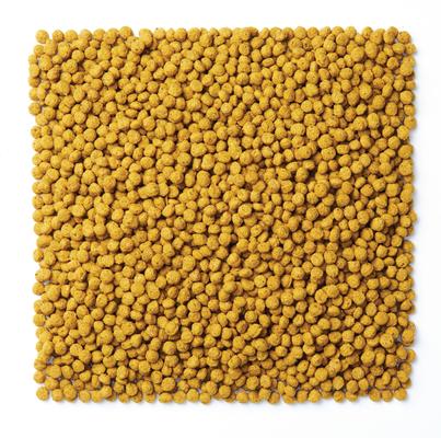 Show full view: Mazuri Nutriblend Gold Extruded Pigeon Food, 50-lb bag slide 3 of 9