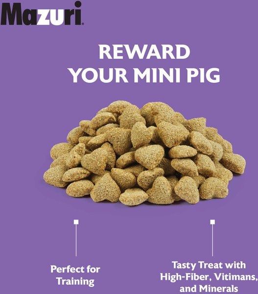 Mazuri Oat & Honey Mini Pig Treats