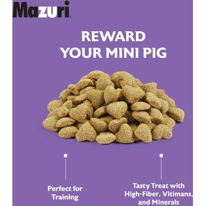 Mazuri Oat & Honey Mini Pig Treats, 3.5-lb bag