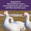 Show in main carousel: Mazuri Waterfowl Maintenance Floating Duck & Geese Feed, 50-lb bag slide 6 of 10