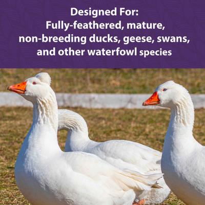Show full view: Mazuri Waterfowl Maintenance Floating Duck & Geese Feed, 50-lb bag slide 6 of 10