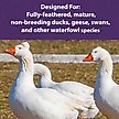 Show in main carousel: Mazuri Waterfowl Maintenance Floating Duck & Geese Feed, 5-lb bag slide 6 of 8