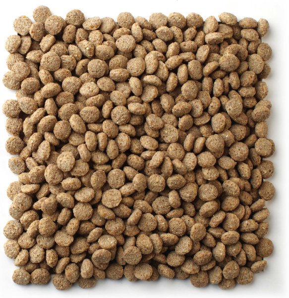 Show full view: Mazuri Waterfowl Maintenance Floating Duck & Geese Feed, 5-lb bag slide 4 of 8