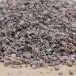 McMurray Hatchery Murray's Best Chick Grit Poultry Supplement