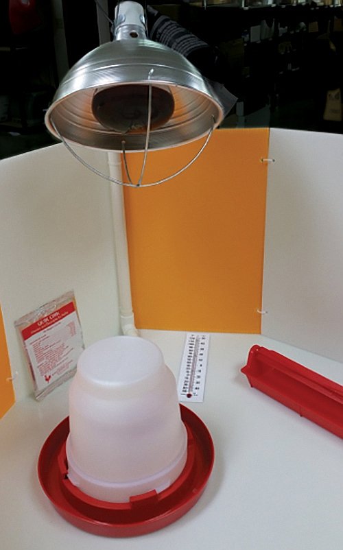 Product Reviews for MCMURRAY HATCHERY Murray's Best Premium Chick