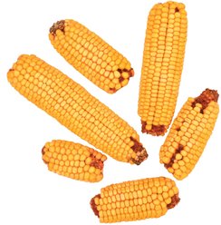 Meadow Ridge Farms Cob Corn Seeds Jay Wild Bird Food, 5-lb bag slide 2 of 2