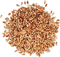 Meadow Ridge Farms Golden Safflower Seeds Wild Bird Food, 20-lb bag slide 2 of 2