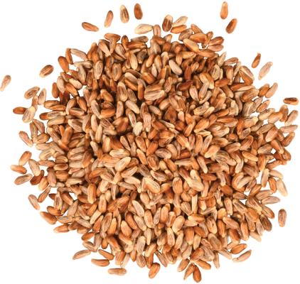 Show full view: Meadow Ridge Farms Golden Safflower Seeds Wild Bird Food, 20-lb bag slide 2 of 2