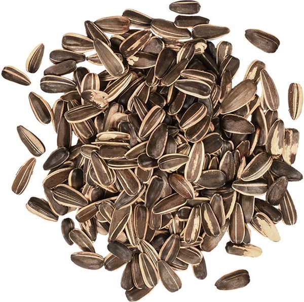 Show full view: Meadow Ridge Farms Stripe Sunflower Seeds Wild Bird Food, 5-lb bag slide 2 of 2