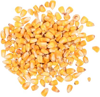 Show full view: Meadow Ridge Farms Whole Corn Jay Wild Bird Food, 10-lb bag slide 2 of 2