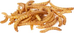 Mealworm To Go Dried Mealworm Berry Flavor Wild Bird Food, 3.5-oz bag slide 2 of 3