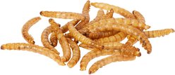 Mealworm To Go Dried Mealworm Wild Bird Food, 30-oz bag slide 2 of 3
