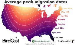 Mealworm To Go Value Box Bird Treats, 11-lb bag slide 2 of 2